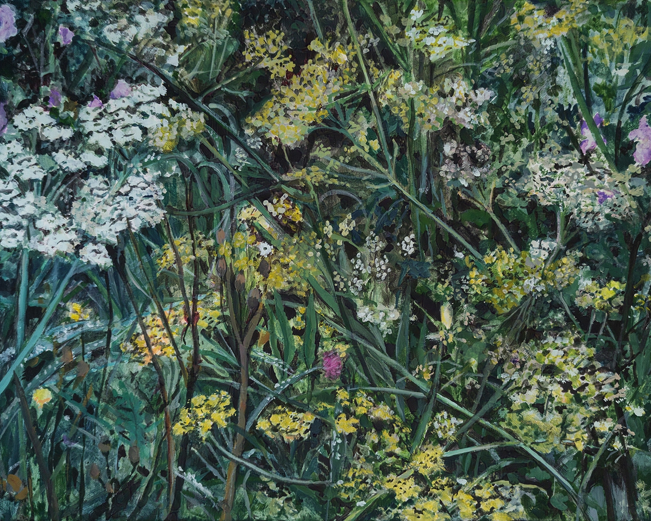 Achillea millefolium - Acrylic